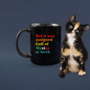 But It Was Assigned Gulf of Mexico at Birth Mug