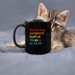 But It Was Assigned Gulf of Mexico at Birth Mug