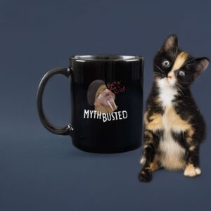 Nasty Myth Busted Mug